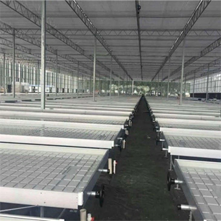 rolling benches for growing